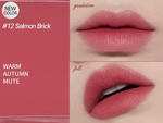 ETUDE HOUSE Fixing Tint (11 Colours) 4g 12 Salmon Brick